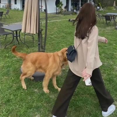 大奉打更人第二季