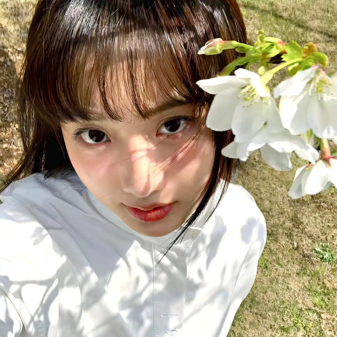 花蕊恋春风